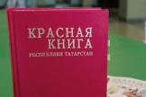 Новое издание Красной книги готовят в Татарстане