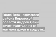 Глава Верхнекамского района Кировской области Андрей Олин хочет судиться из-за комментариев в соцсетях
