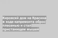 Кировскй дом на Красина в ходе капремонта оброс плесенью и стал пристанищем мышей