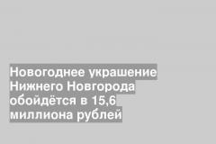 Новогоднее украшение Нижнего Новгорода обойдётся в 15,6 миллиона рублей