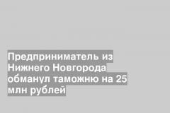 Предприниматель из Нижнего Новгорода обманул таможню на 25 млн рублей