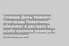 Спикера Думы Нижнего Новгорода Лавричева обвиняют в растрате в особо крупном размере и легализации