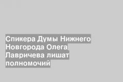 Спикера Думы Нижнего Новгорода Олега Лавричева лишат полномочий