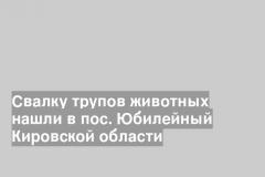 Свалку трупов животных нашли в пос. Юбилейный Кировской области