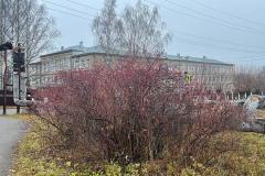 В Кировской области прокуратура потребовала расторгнуть контракт на капремонт школы пос. Безбожник