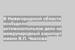 В Нижегородской области возбудили антимонопольное дело на международный аэропорт имени В.П. Чкалова
