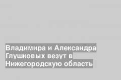 Владимира и Александра Глушковых везут в Нижегородскую область
