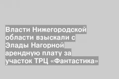 Власти Нижегородской области взыскали с Элады Нагорной арендную плату за участок ТРЦ «Фантастика»