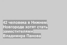 42 человека в Нижнем Новгороде хотят стать заместителями Владимира Панова