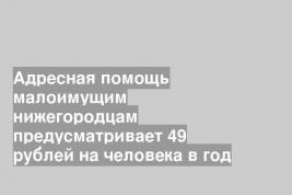 Адресная помощь малоимущим нижегородцам предусматривает 49 рублей на человека в год