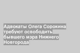 Адвокаты Олега Сорокина требуют освободить бывшего мэра Нижнего Новгорода