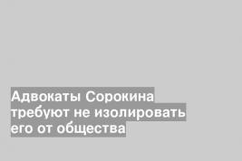 Адвокаты Сорокина требуют не изолировать его от общества