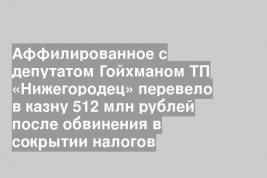 Аффилированное с депутатом Гойхманом ТП «Нижегородец» перевело в казну 512 млн рублей после обвинения в сокрытии налогов