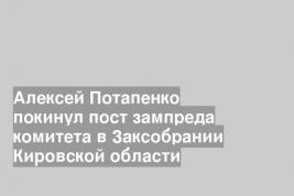 Алексей Потапенко покинул пост зампреда комитета в Заксобрании Кировской области