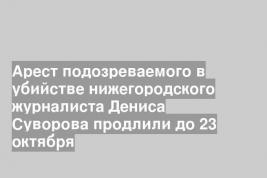 Арест подозреваемого в убийстве нижегородского журналиста Дениса Суворова продлили до 23 октября
