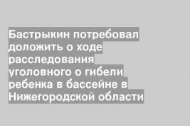 Бастрыкин потребовал доложить о ходе расследования уголовного о гибели ребенка в бассейне в Нижегородской области
