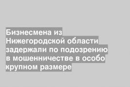 Бизнесмена из Нижегородской области задержали по подозрению в мошенничестве в особо крупном размере
