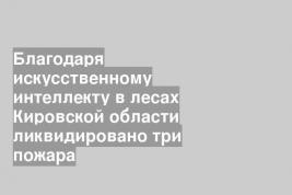 Благодаря искусственному интеллекту в лесах Кировской области ликвидировано три пожара