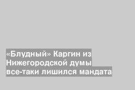 «Блудный» Каргин из Нижегородской думы все-таки лишился мандата