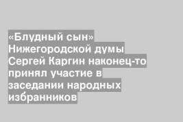 «Блудный сын» Нижегородской думы Сергей Каргин наконец-то принял участие в заседании народных избранников