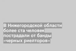 В Нижегородской области более ста человек пострадали от банды «черных риелторов»