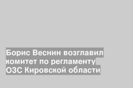 Борис Веснин возглавил комитет по регламенту ОЗС Кировской области