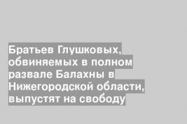 Братьев Глушковых, обвиняемых в полном развале Балахны в Нижегородской области, выпустят на свободу