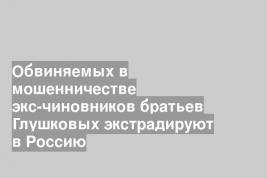 Обвиняемых в мошенничестве экс-чиновников братьев Глушковых экстрадируют в Россию