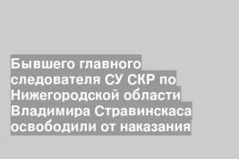 Бывшего главного следователя СУ СКР по Нижегородской области Владимира Стравинскаса освободили от наказания