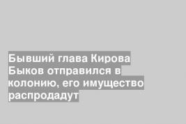 Бывший глава Кирова Быков отправился в колонию, его имущество распродадут