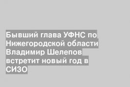 Бывший глава УФНС по Нижегородской области Владимир Шелепов встретит новый год в СИЗО