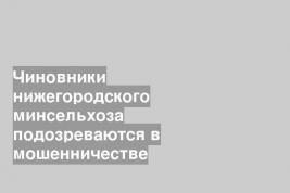 Чиновники нижегородского минсельхоза подозреваются в мошенничестве