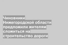 Чиновники Нижегородской области предложили жителям сложиться на строительство дороги