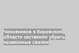 Чиновников в Кировской области заставили убрать незаконные свалки