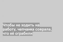 Чтобы не ходить на работу, чепчанка соврала, что её ограбили