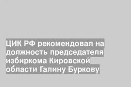 ЦИК РФ рекомендовал на должность председателя избиркома Кировской области Галину Буркову