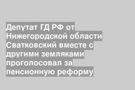 Депутат ГД РФ от Нижегородской области Сватковский вместе с другими земляками проголосовал за пенсионную реформу