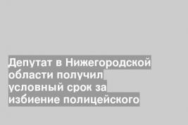 Депутат в Нижегородской области получил условный срок за избиение полицейского