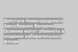 Депутата Нижегородского Заксобрания Валерия Осокина могут обвинить в хищении избирательного фонда