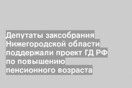 Депутаты заксобрания Нижегородской области поддержали проект ГД РФ по повышению пенсионного возраста