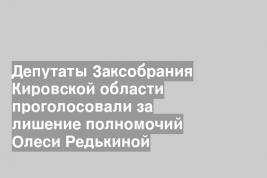 Депутаты Заксобрания Кировской области проголосовали за лишение полномочий Олеси Редькиной