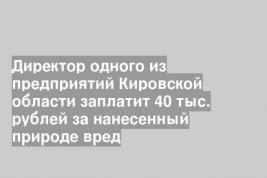 Директор одного из предприятий Кировской области заплатит 40 тыс. рублей за нанесенный природе вред