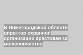 В Нижегородской области директор охранной организации арестован за мошенничество