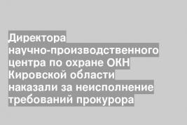 Директора научно-производственного центра по охране ОКН Кировской области наказали за неисполнение требований прокурора