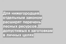 Для нижегородцев отдельным законом расширят перечень лесных ресурсов, допустимых к заготовкам в личных целях