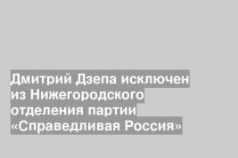 Дмитрий Дзепа исключен из Нижегородского отделения партии «Справедливая Россия»