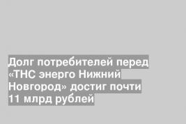 Долг потребителей перед «ТНС энерго Нижний Новгород» достиг почти 11 млрд рублей