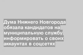 Дума Нижнего Новгорода обязала кандидатов на муниципальную службу информировать о своих аккаунтах в соцсетях