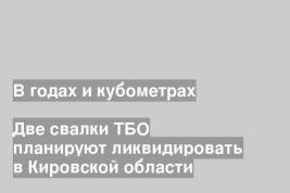 Две свалки ТБО планируют ликвидировать в Кировской области