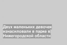 Двух маленьких девочек изнасиловали в парке в Нижегородской области